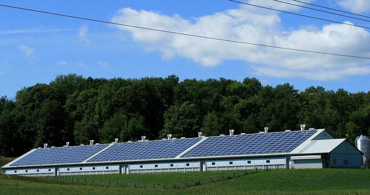 Libera to Construct Solar-Powered Storage Facility • The Electricity Hub