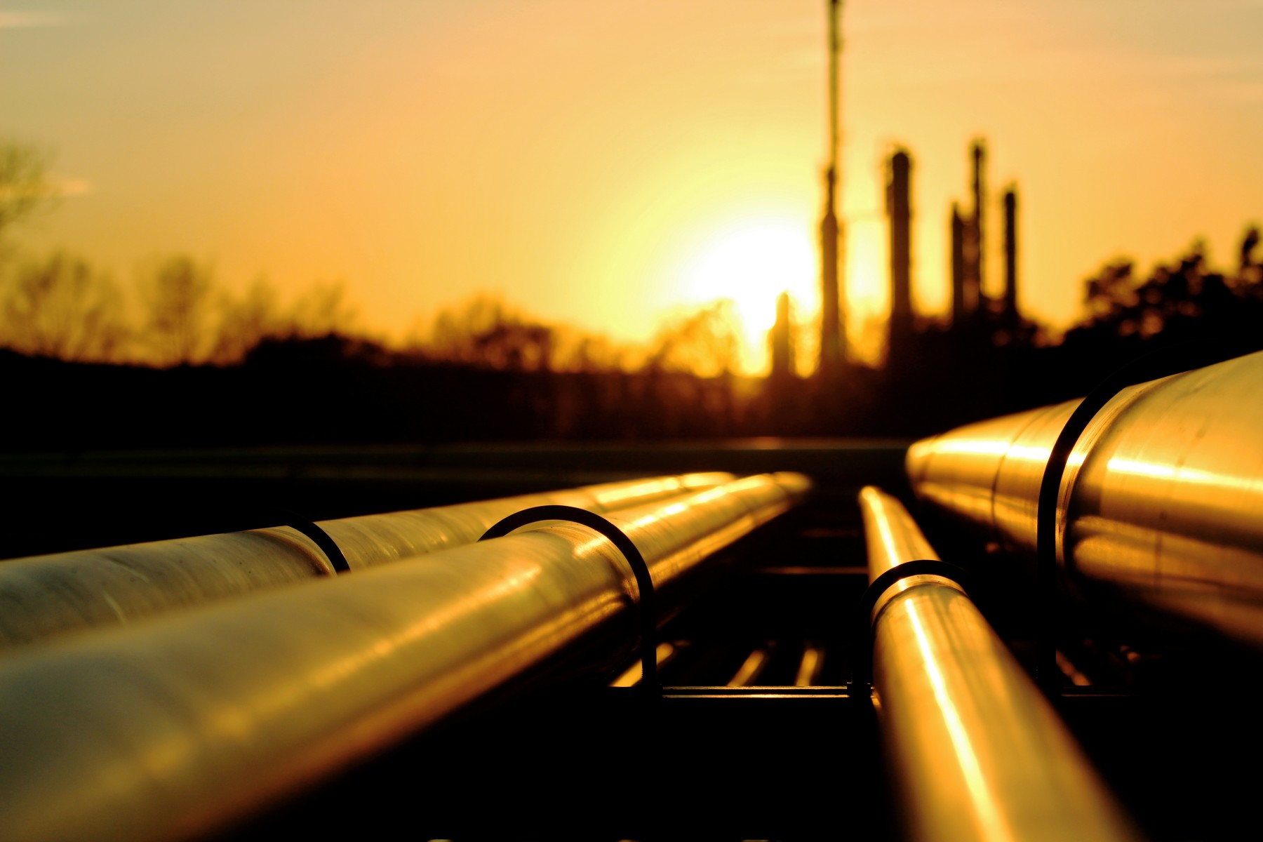 TotalEnergies Examines Environmental Impacts on Oil Project • The
