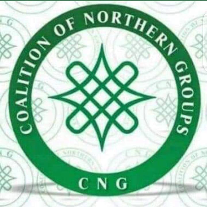 NIGERIA: CNG Asks Reps to Reject NDPHC Assets Sale • The Electricity Hub