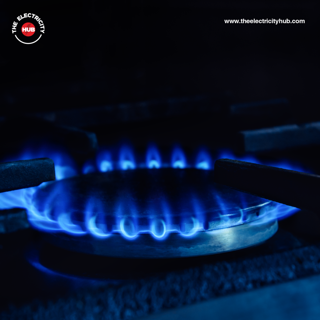 View of Global Carbon Offset Standard Approves Three Clean Cookstove Methods ...