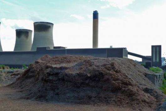 Bioenergy Plants To Be Developed In Ghana And Sierra Leone • The Electricity Hub