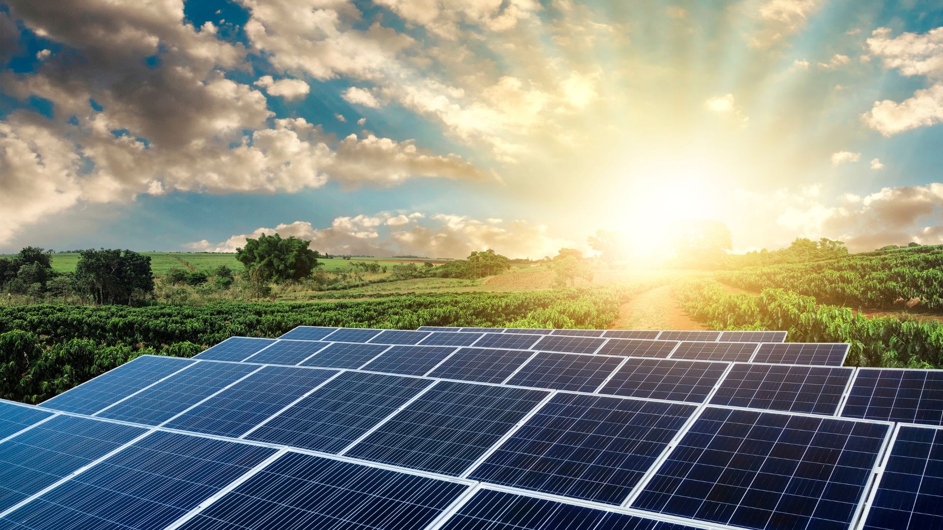 Scatec Secures 15 Year CfD for 190MW Solar Portfolio in Romania • The