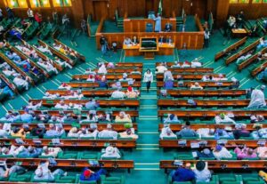 Reps summon TCN over N446.7bn unrecovered from public agencies