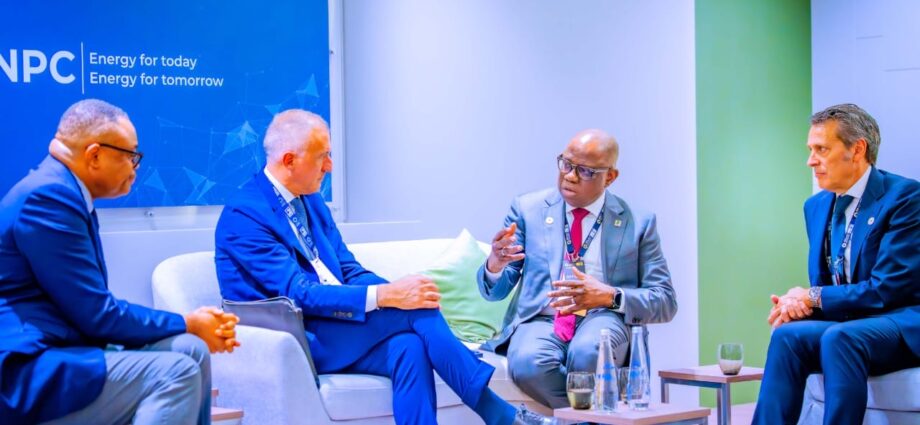 Nigeria Champions Co-Investment to End Energy Poverty
